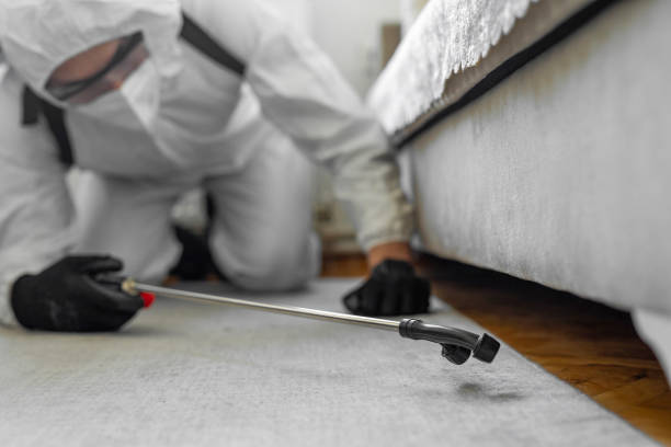 Professional Bed Bug Control technician working in Nueces County County, TX